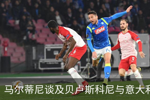 马尔蒂尼谈及贝卢斯科尼与意大利足球未来的挑战